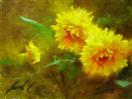 'Yellow Dahlins'