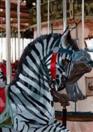'The Carousel'