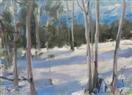 Winter Aspens  5x7 in.