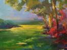 Sunlit Trees