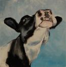 'HOLD YOUR HEAD HIGH 2'