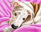 Dream Girl - Staffordshire Terrier Painting