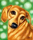 The Eyes Have It - Dachshund Dog Painting