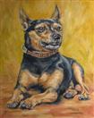 Dog Portrait, Poncho, the Miniature Doberman