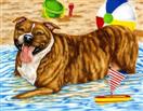 Spring Painting Sale!