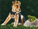 Maggie's Friend - Welsh Terrier