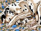 Bed of Roses - Dalmatian Dog Art