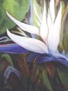White Bird of Paradise oil painting Floral