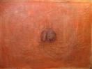 Acorn Homage, revisited and final coat