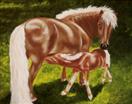 Kate's Foal - Spring is Here