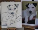 Tess, Work in Progress