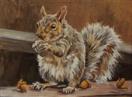 The Acorn Thief