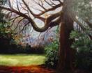 Sam's Tree oil painting