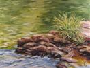 Sun Kissed Rocks by the Water