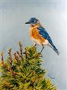 Bluebird Balancing Act