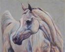 Imperial Falaah (Arabian mare)