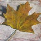 Yellow Fall Leaf
