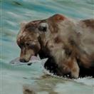 SALMON FOR DINNER