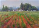 Plein air painting in progress by BECKY JOY