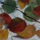 Fall Leaves