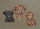 Oscar, Bella, and Odie Finished!!