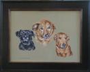 Oscar, Bella, and Odie Finished!!
