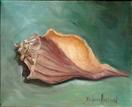 Sea Shell by Barbara Haviland