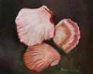 Shells oils by Barbara Haviland