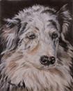 My Funny Valentine - Dog Portrait