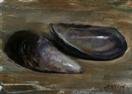 California Mussel Shell
