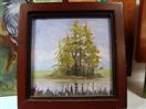 miniature Tree framed by Barbara Haviland