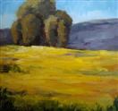 Mustard Field