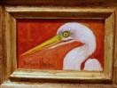 Portriat of an Egret  oils framed by Barbara Haviland