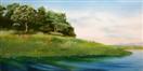 Daily Painters Blog - Folsom Lake in the Spring Oil Painting - A Painting a Day by Northern Californ