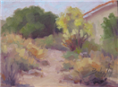 plein air on a cloudy day in Phoenix by BECKY JOY
