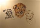 Oscar, Bella, and Odie  WIP