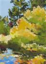 Pond Reflect