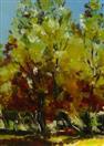 Aspen Grove