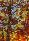 Aspen, close-up