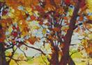 Aspen Grove, Red Trees