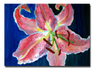 Original Art by Daily Painter Kori Ellien